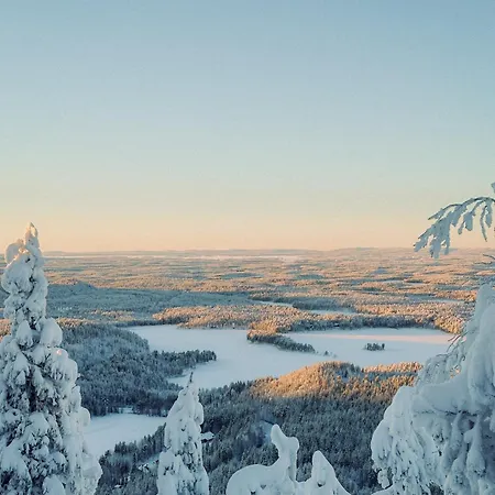 Cozy Log In Ruka Appartement